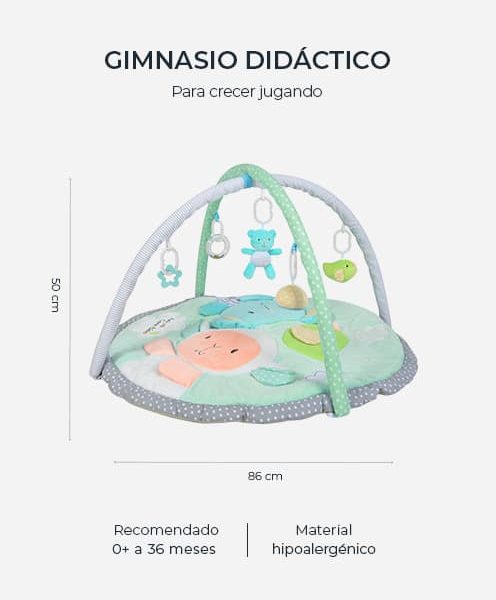 Gimnasio Didáctico Carestino